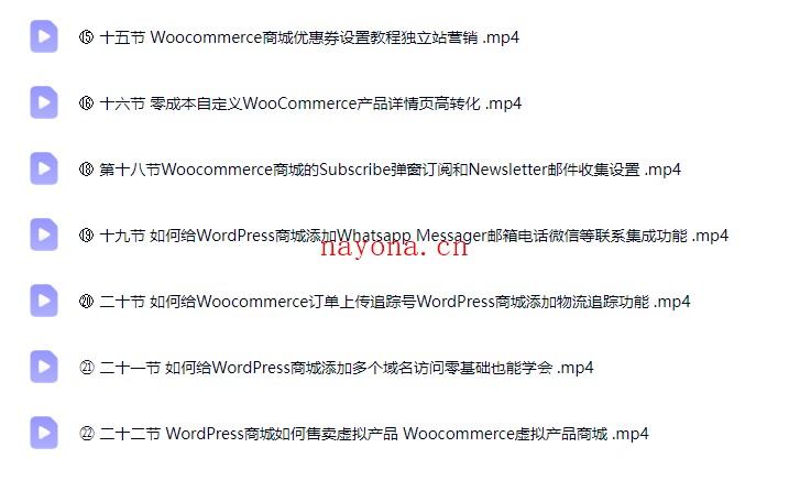 网站从零到上线:WordPress外贸独立站建站全流程(最新版)【Ab-0081】