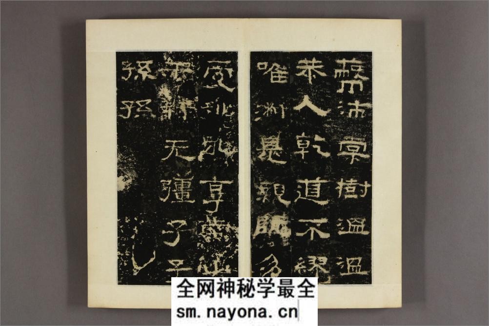 蕩阴令张迁碑 - 第16页预览图