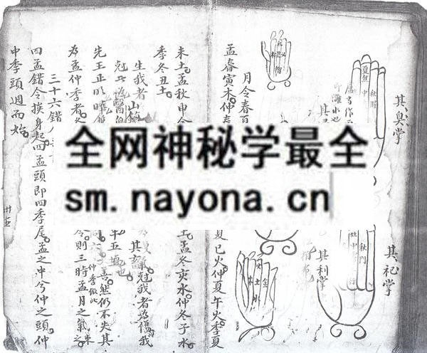 九州总掌诀  (电子版）