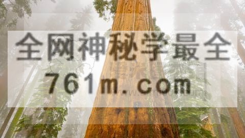 研协生物基因课黄老师【10天大课】代谢组和脂质组专题培训