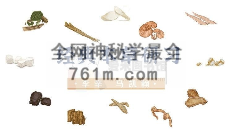 李辛 马凯翰：经典本草研习课（第二期）