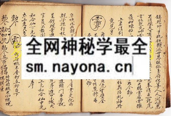 1742975312946487.jpg 符显药灵 (原书)