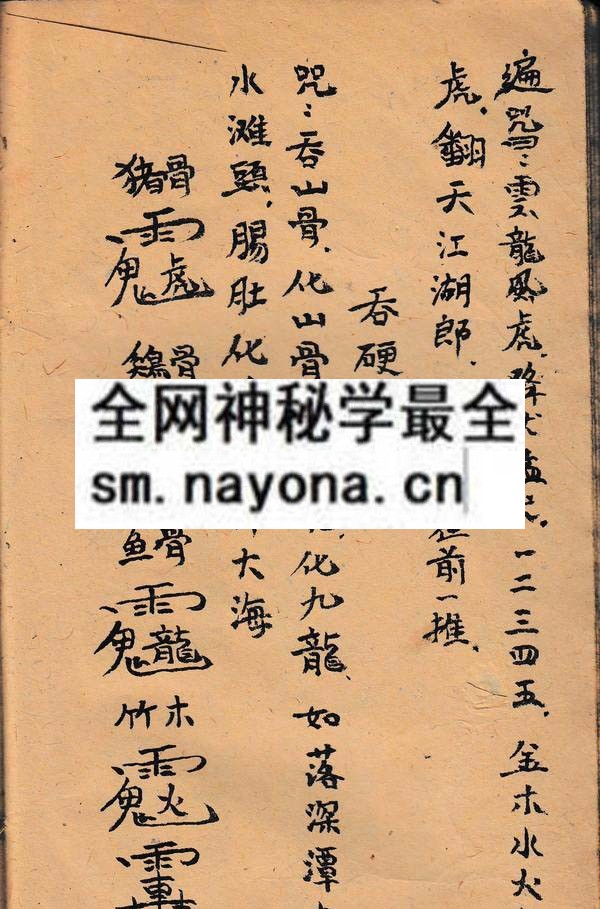 1753095880134765.jpg 茅山九龙滚地秘诀(电子版)