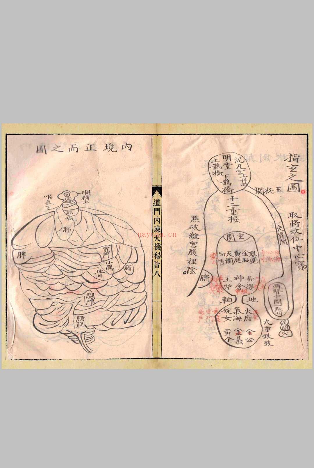 道门内炼天机秘旨
