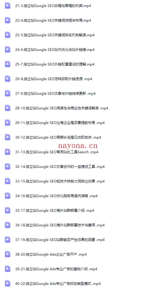 独立站搭建和流量优化系列课程【Aa-0061】