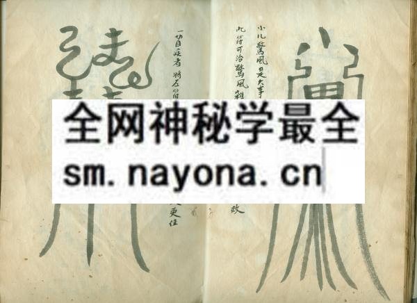 1751714510235727.jpg 灵仙飞溅 (电子版)