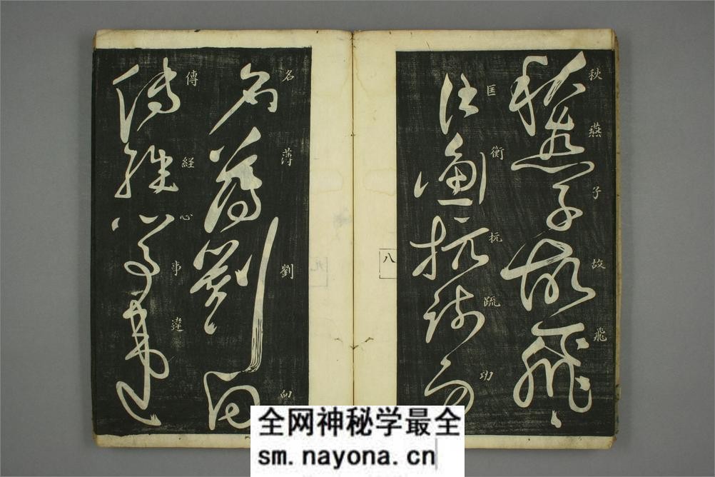 (唐)怀素草书秋兴八首(日延保版) - 第10页预览图
