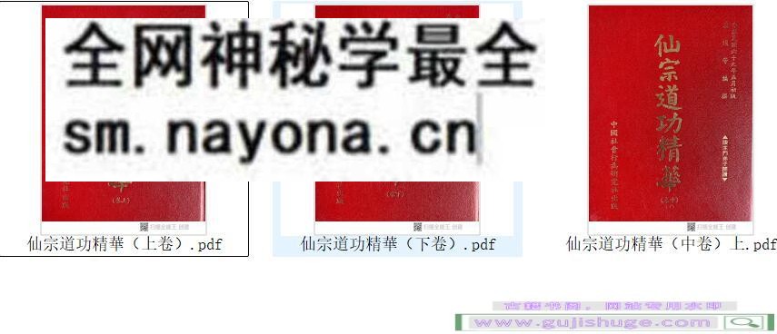 《仙宗道功精华》-古籍书阁（gujishge.com）