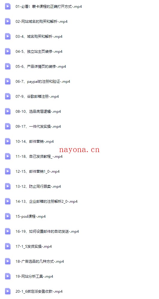 跨境电商小白必看！独立站建站+运营实战教程，助你快速入门并精通【Aa-0065】