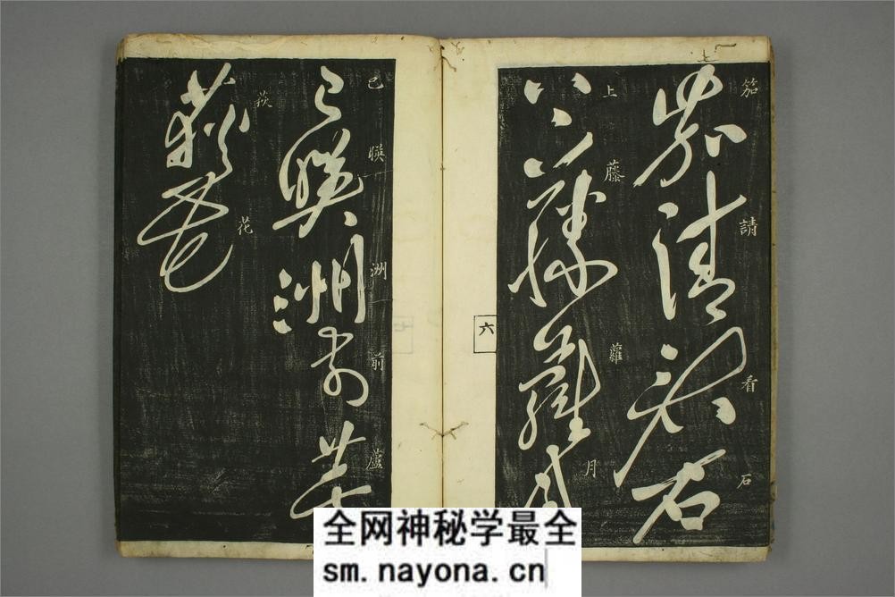 (唐)怀素草书秋兴八首(日延保版) - 第8页预览图