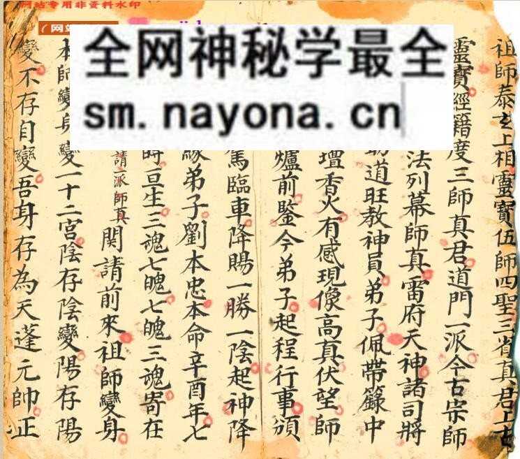 《进瘟难家传口诀符法》