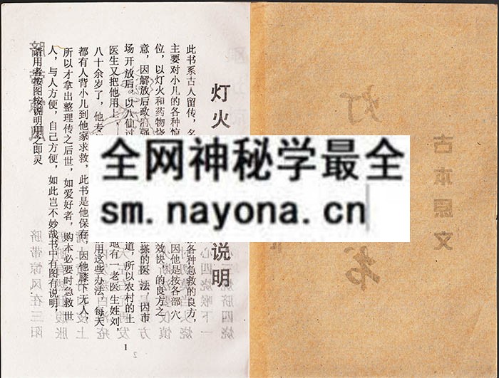 1742731999250713.jpg 灯火图书(有符) (电子版)