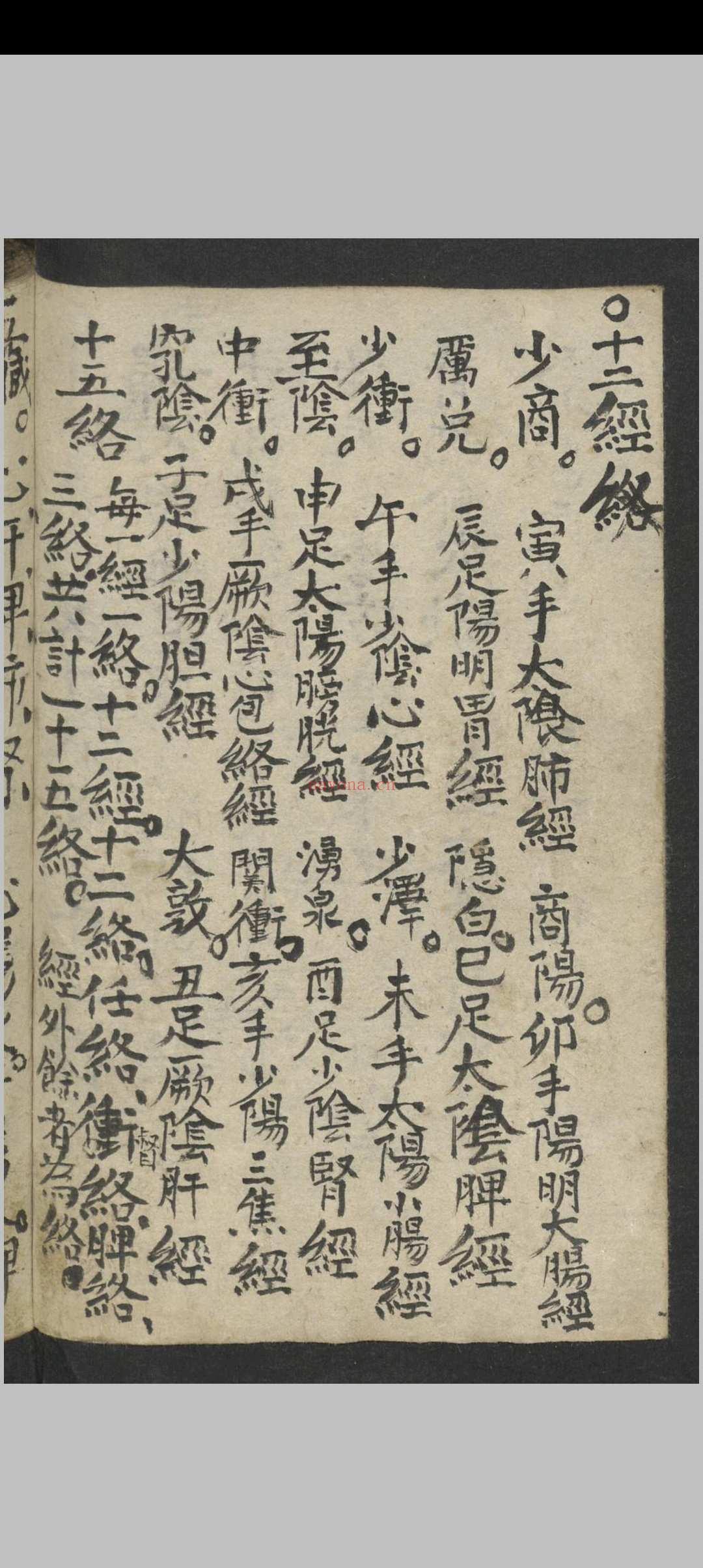 马万智 中华新针灸