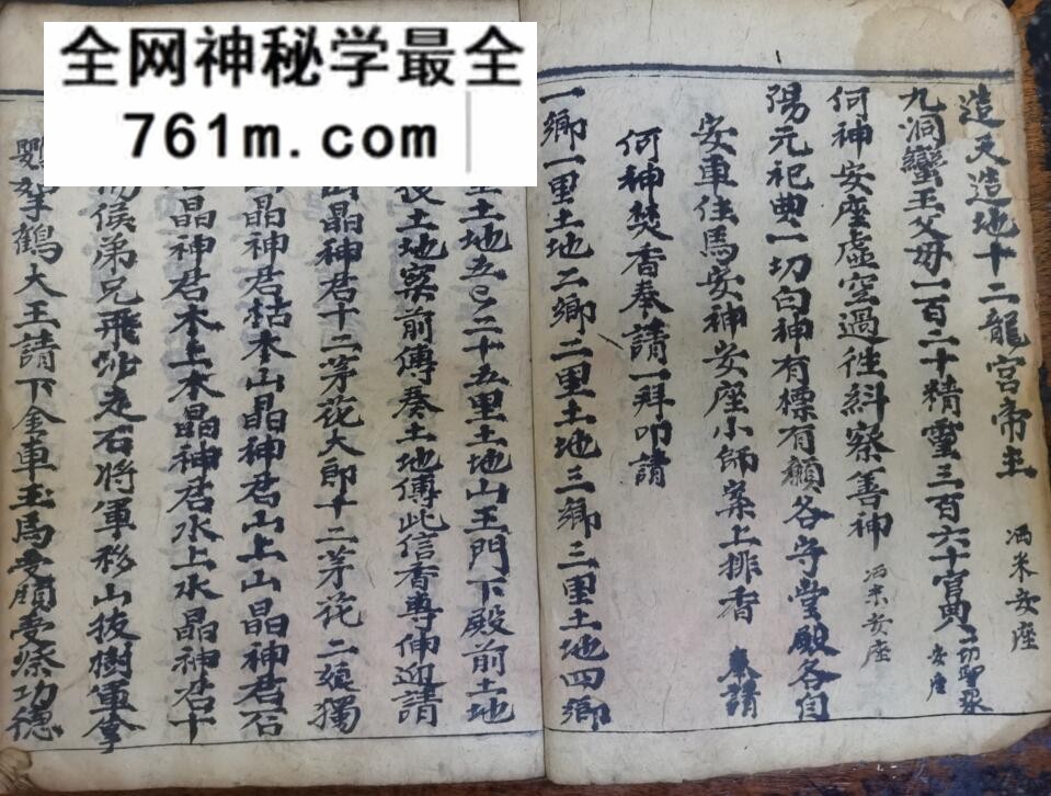 《祭矛神科》