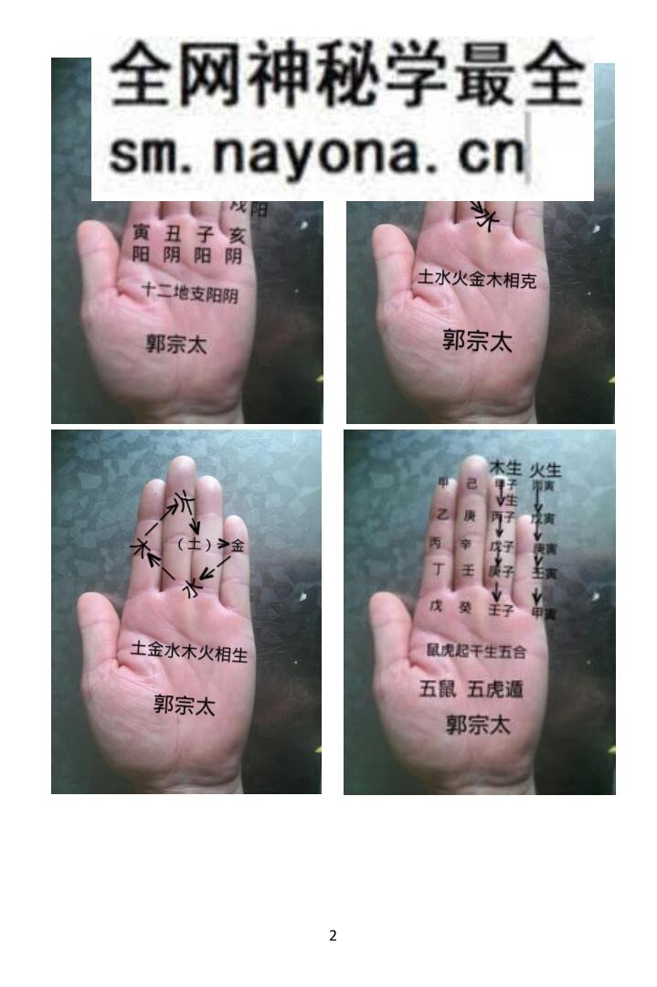 《易学130种掌诀》