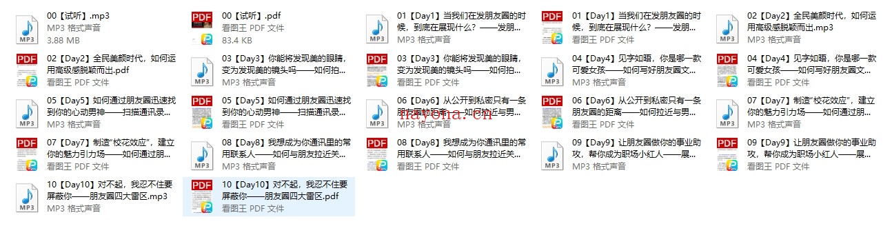 Chic原醉《朋友圈架构指南 高级感的营造和品位提升》完结