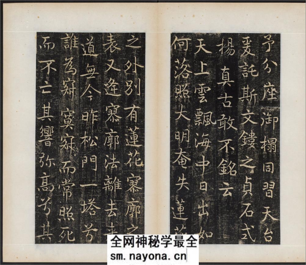 唐国师千福寺多宝塔院故法华楚金禅师碑.唐释飞锡撰.唐吴通书.民国拓本 - 第16页预览图