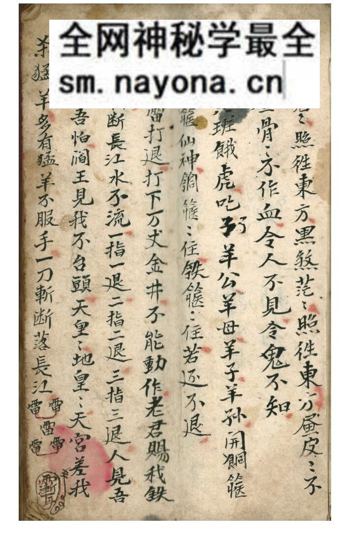 道医《祖传药书》