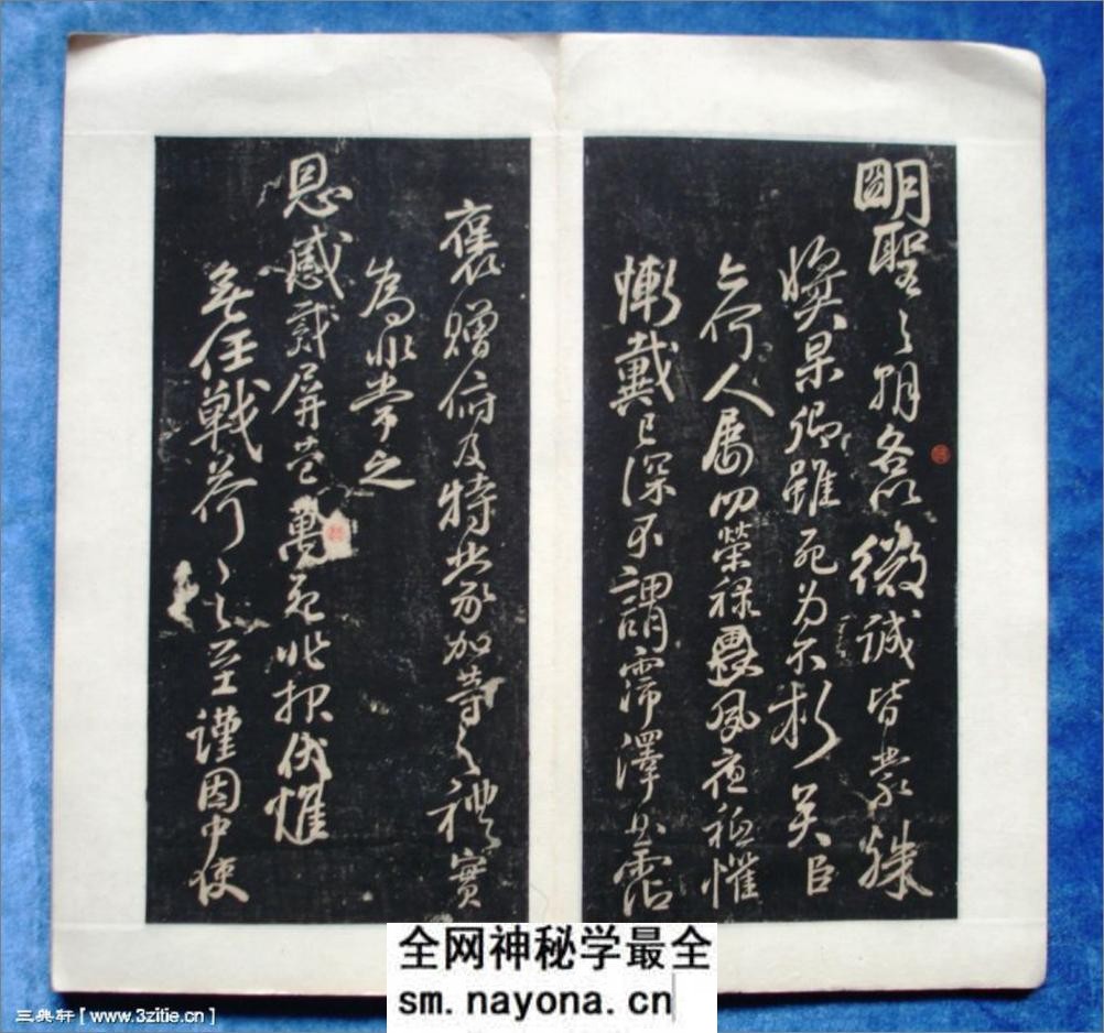 (唐)颜真卿行书三表册 - 第5页预览图