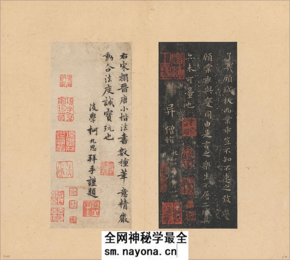 晋唐小楷八种.唐刻宋拓.大都会博物馆藏.清代集本 - 第10页预览图