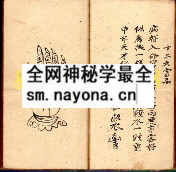 法病秘书  （原书）