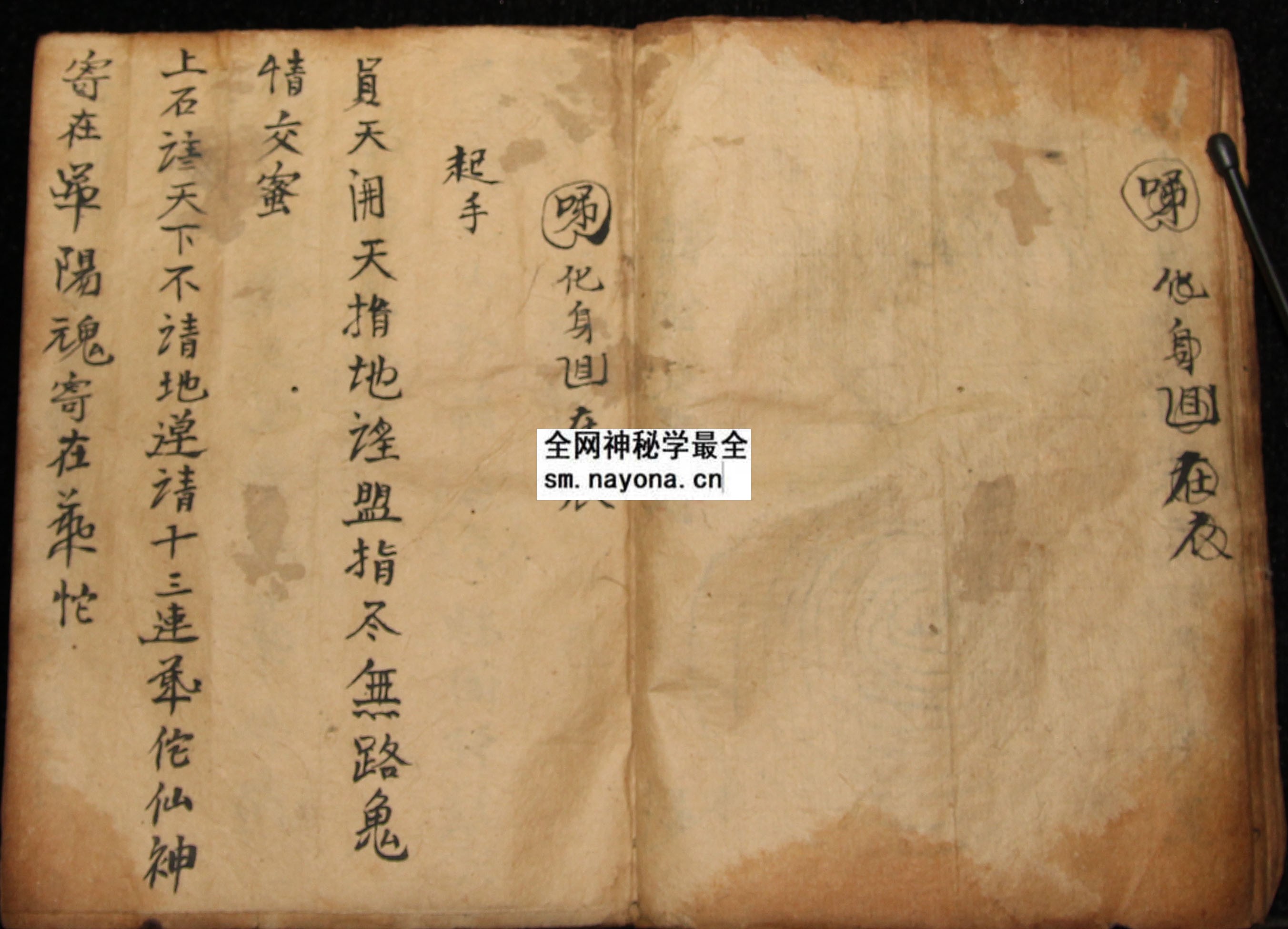 1747987900416126.jpg 化身符科 (电子版)
