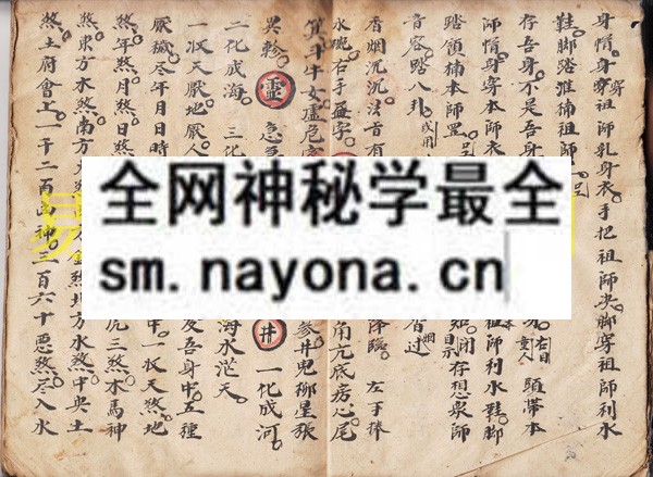 1742899862556275.jpg 法符密旨 (原书)