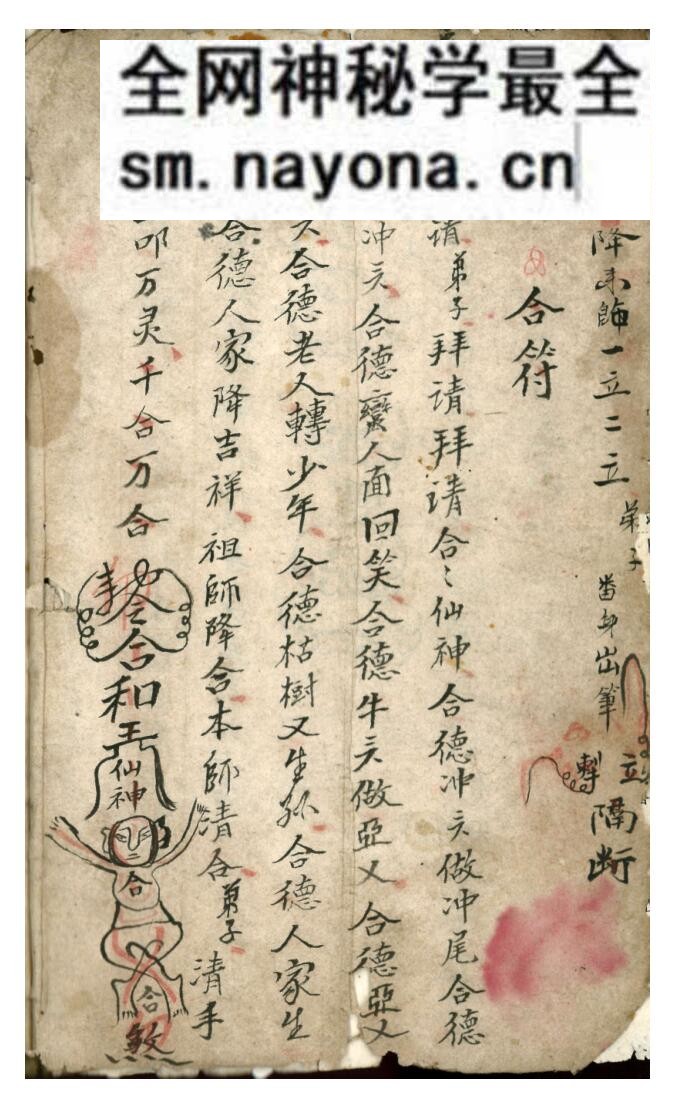 道医《祖传药书》
