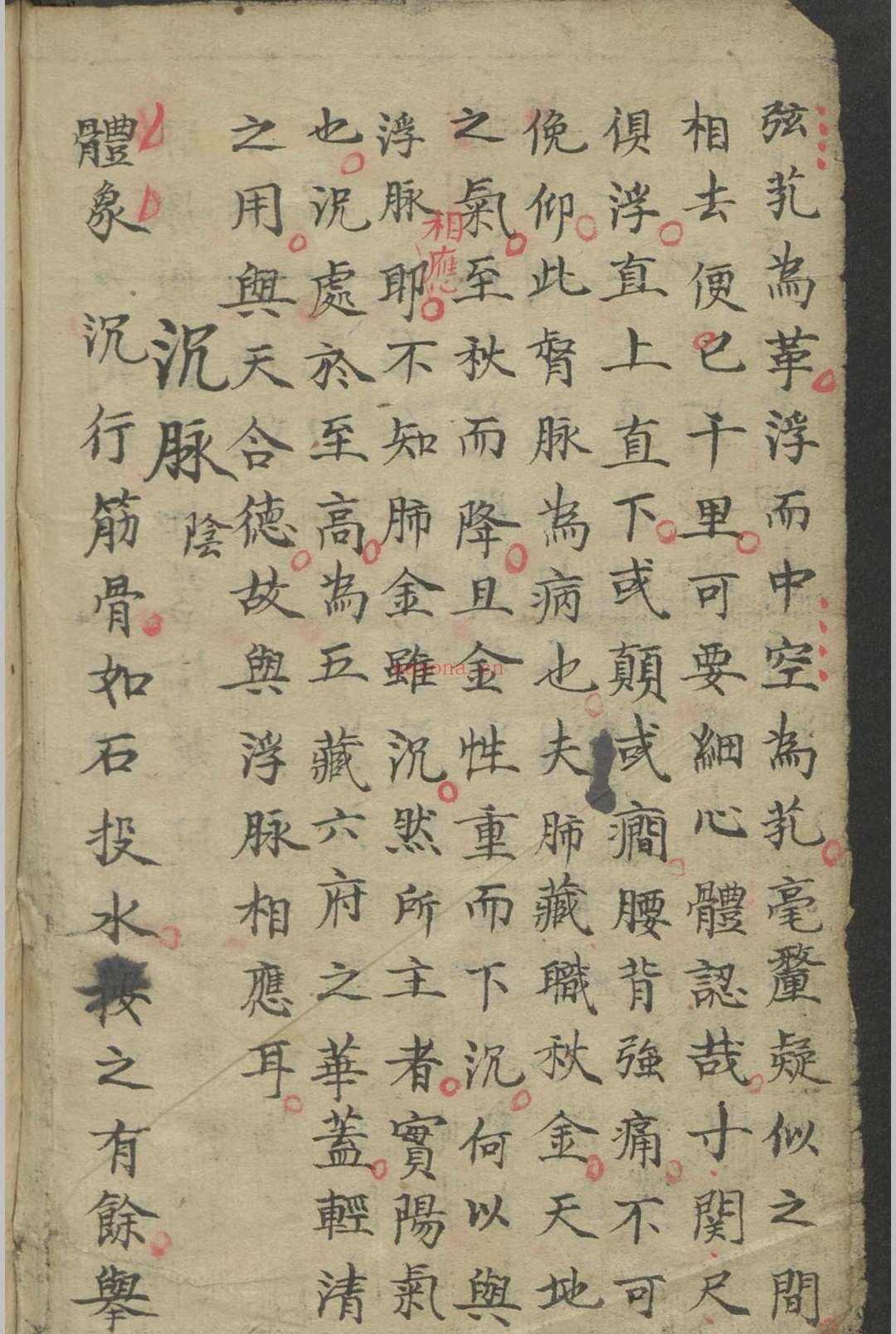 诊家正眼卷二脉二十八种脉法总论珍珠囊指掌补遗药性赋卷之一部 1900