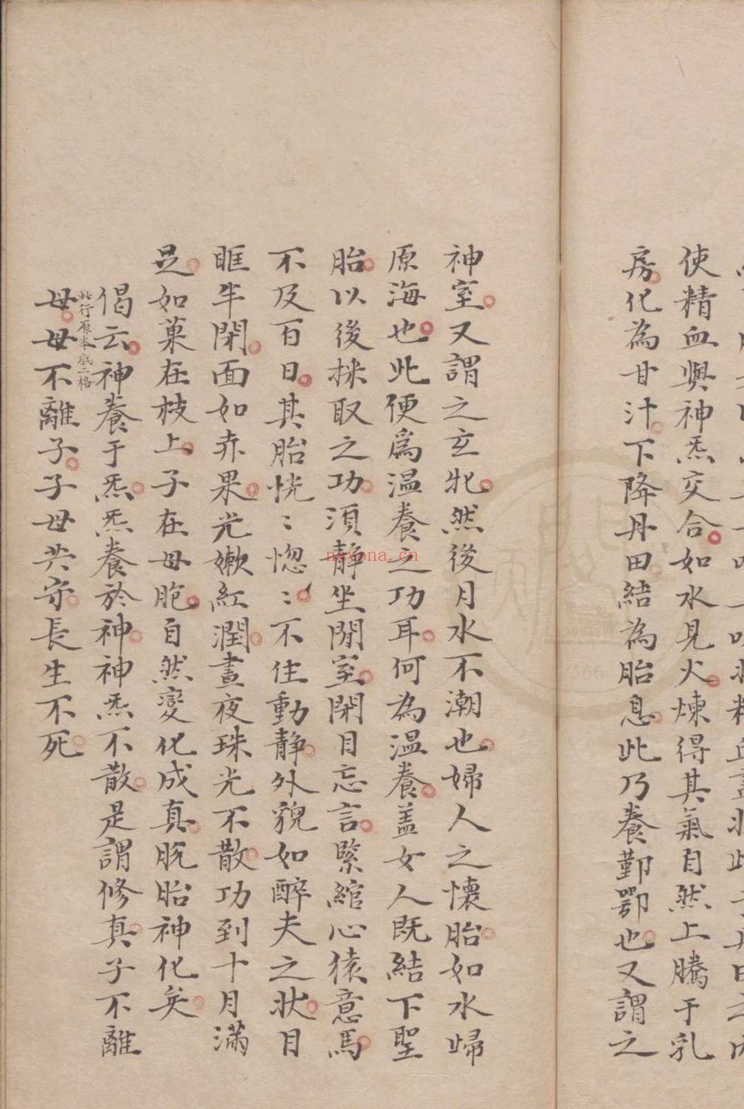 玄宗秘旨一卷(抄本,(明)张一元