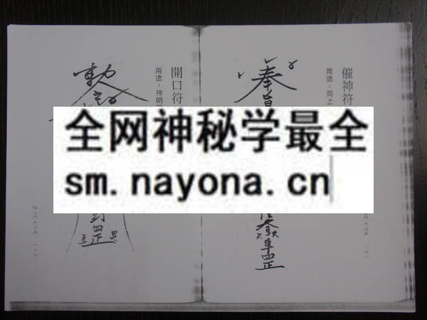 1681787267945521.jpg 阴山门大法典(只售电子版)