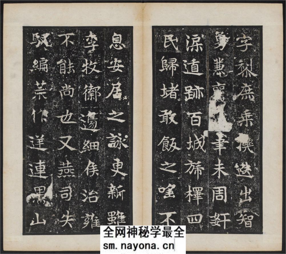 禅静寺刹前铭敬史君之碑.附碑阴.东魏兴和2年.清末拓本 - 第11页预览图