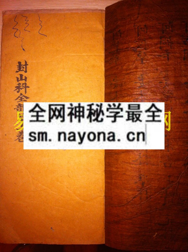 1742454921632950.jpg 大幡封山科 (电子版)