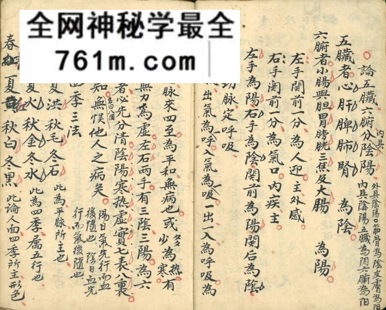 《经脉抄本》百度网盘