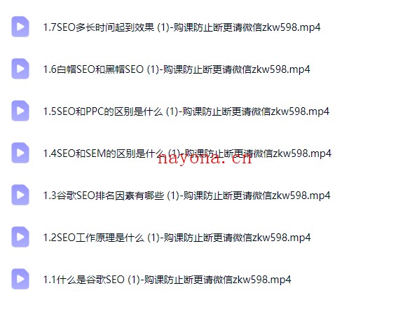 新版谷歌独立站SEO运营教程【Aa-0088】