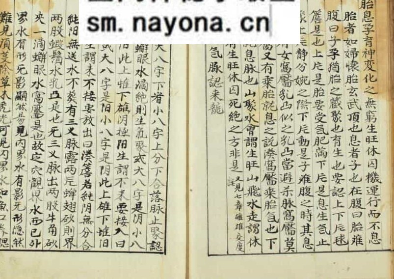 《雪心赋直解》