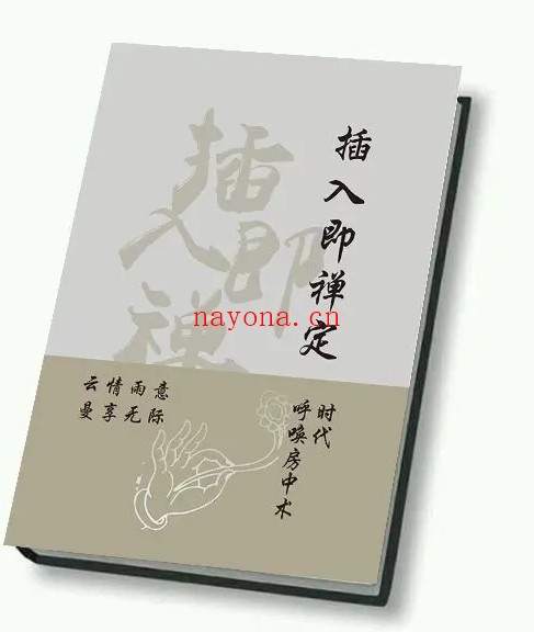 《插入即禅定》PDF电子版