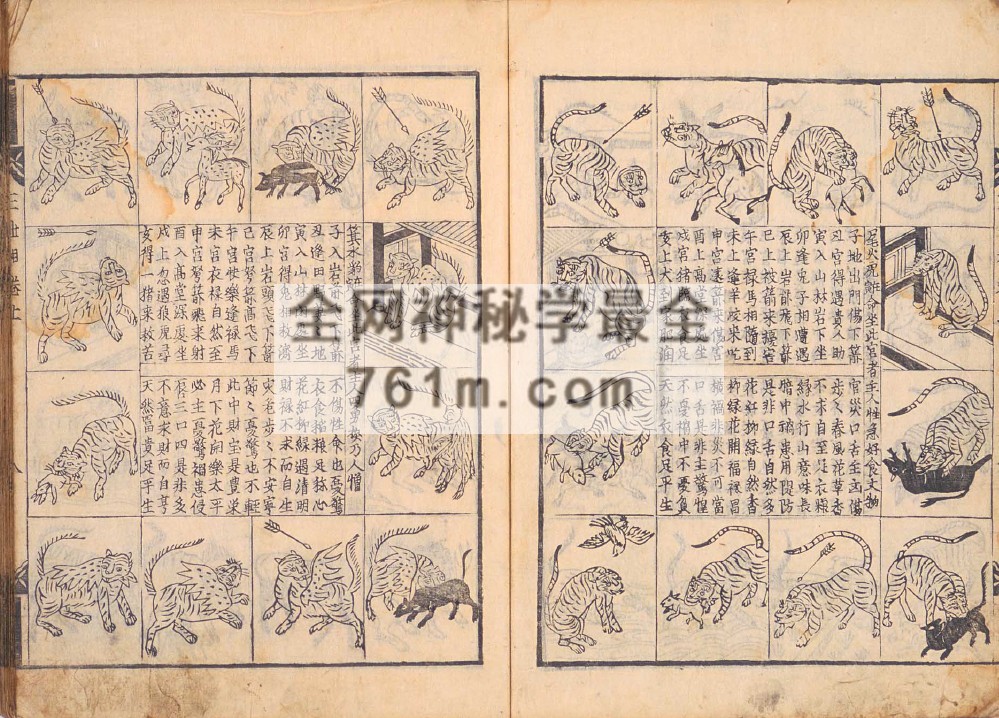 YXG0096  三世演禽
