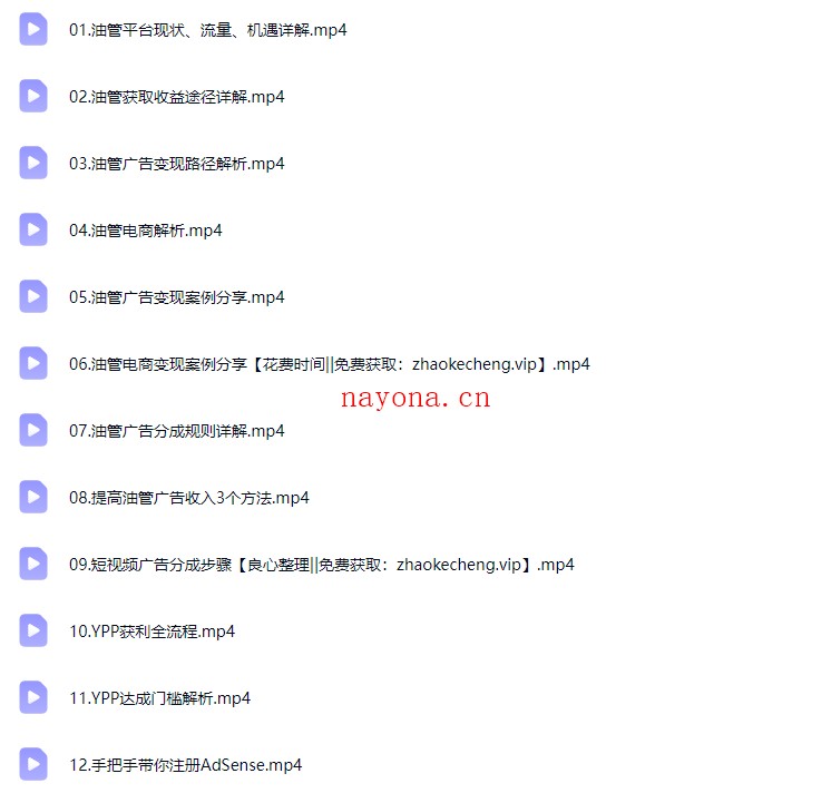 阿蔺Leo跨境油管视频实训营3.0实战课程【Ag-0245】