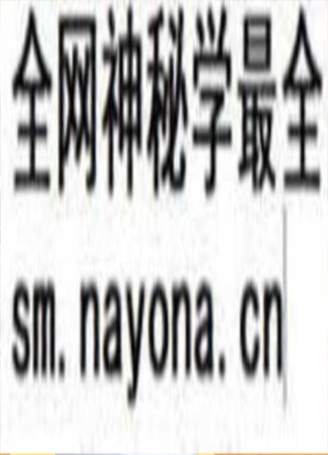《麻衣面相之财富绝招秘籍》