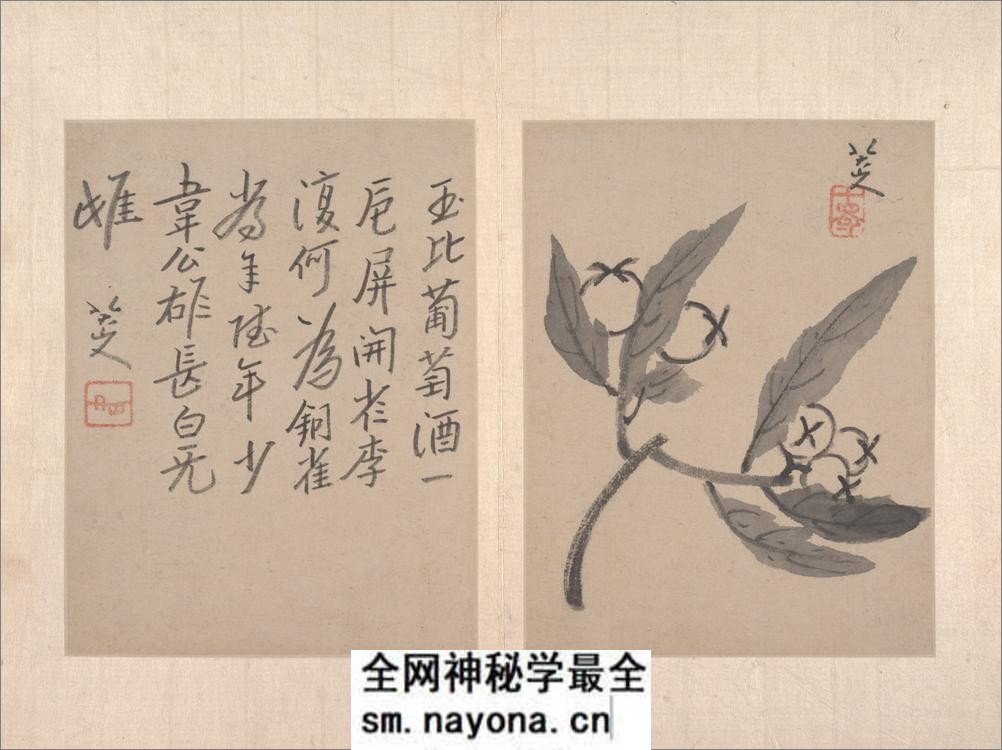 八大山人绘画册页.写意文人12帧.山水12帧.朱耷绘.清代 - 第7页预览图
