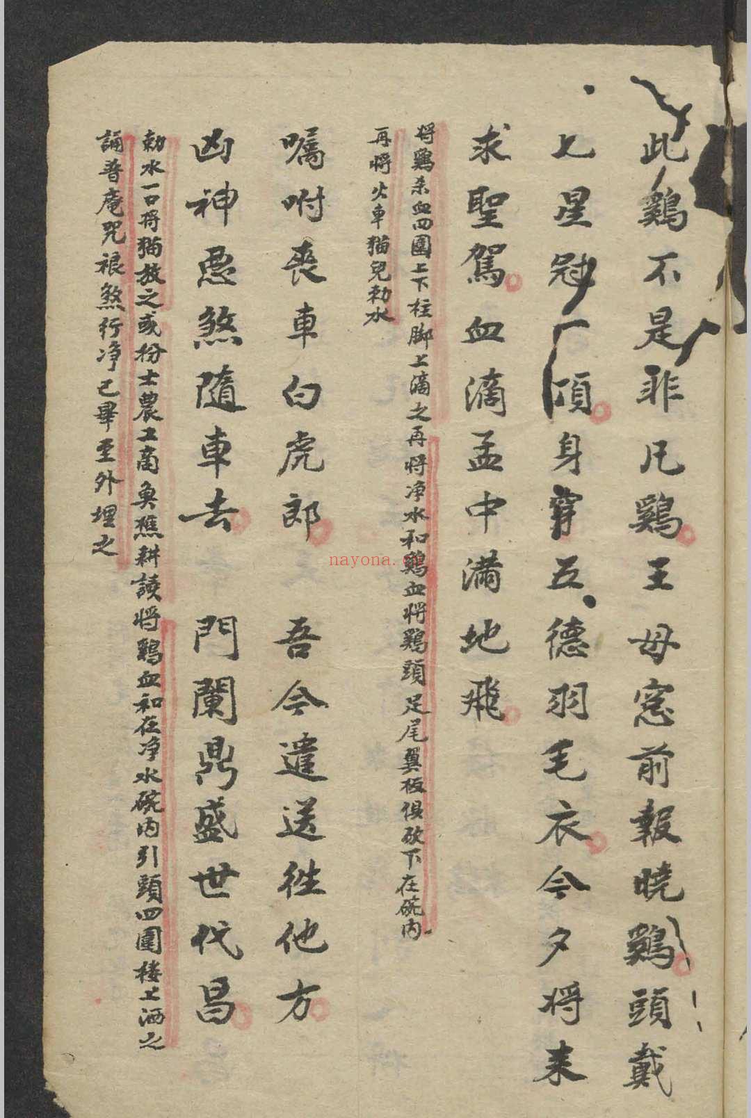 道教大和土科 , 1800