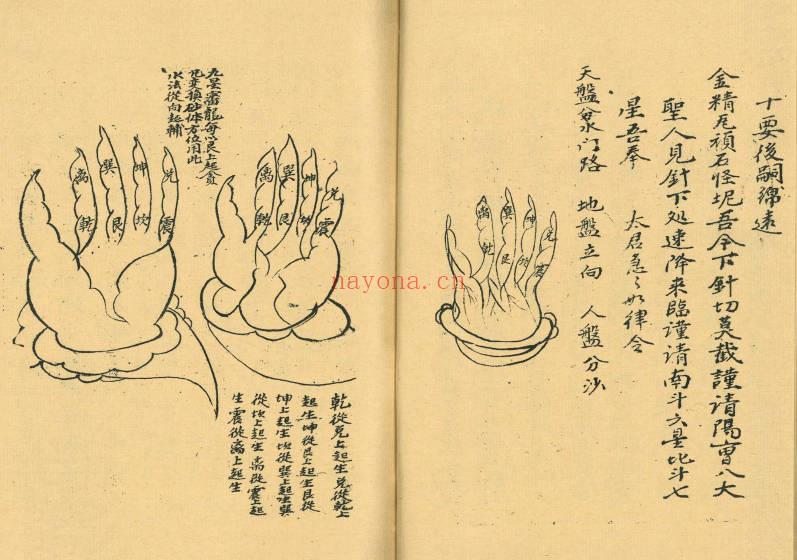《杨救贫亲传土牛经断坟下葬诀》上下册.PDF电子版