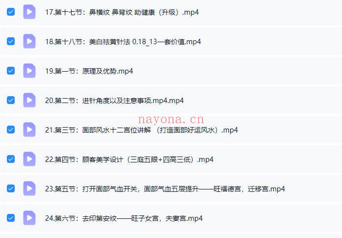 刘梅《小小针面部风水美雕面授课》38集视频课