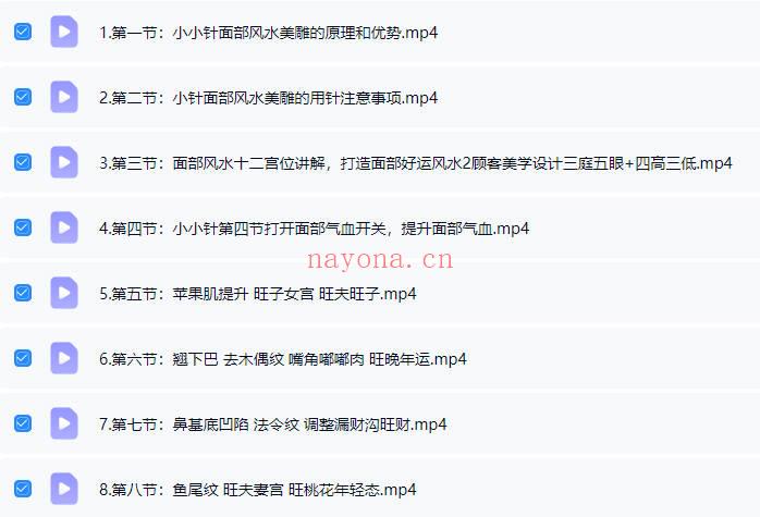刘梅《小小针面部风水美雕面授课》38集视频课