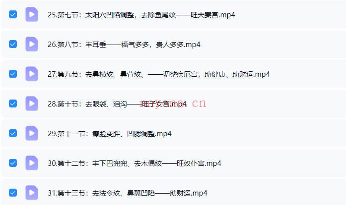 刘梅《小小针面部风水美雕面授课》38集视频课