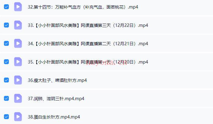 刘梅《小小针面部风水美雕面授课》38集视频课