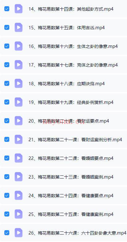鑫河《梅花易数精品课》视频课26集