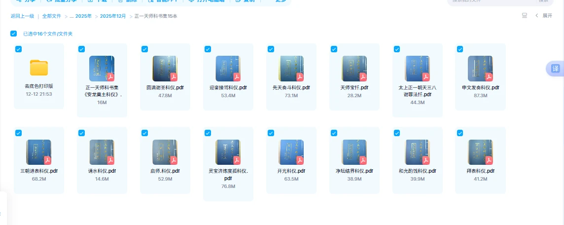 20251231134520702 image