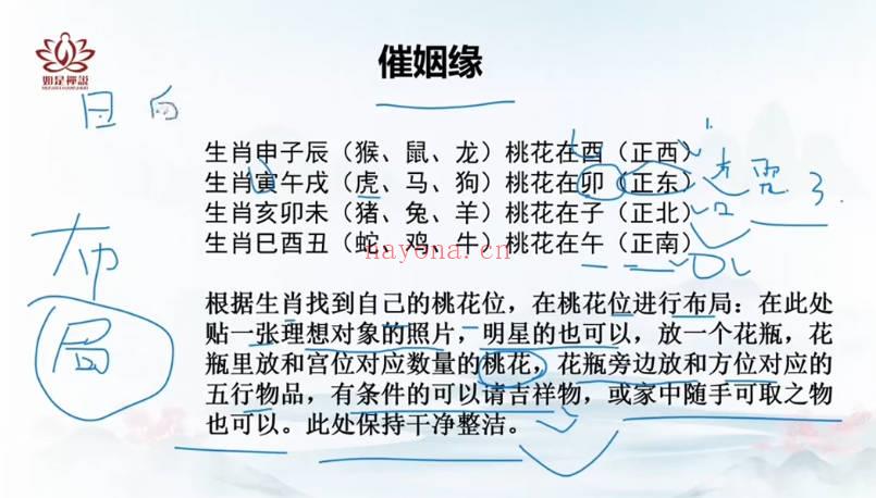 如是禅说辰南老师《九维控运》13集视频课